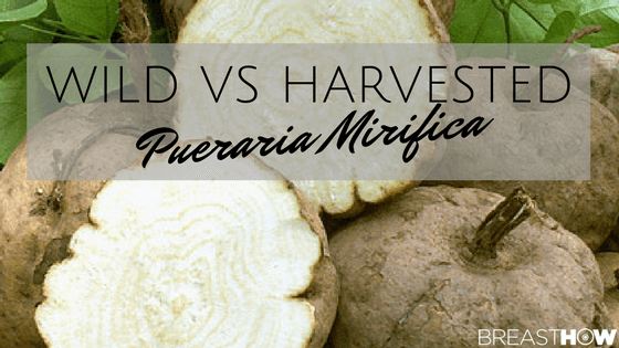 Wild vs Harvested Pueraria Mirifica