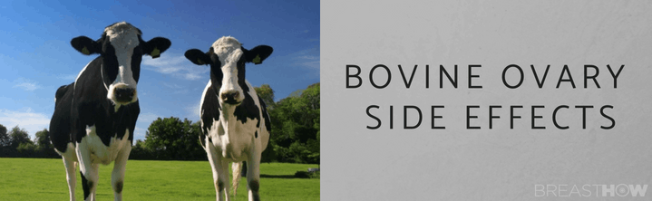 Bovine Ovary Side Effects